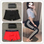 TOMMY Underwear (1)