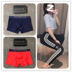 TOMMY Underwear (1)