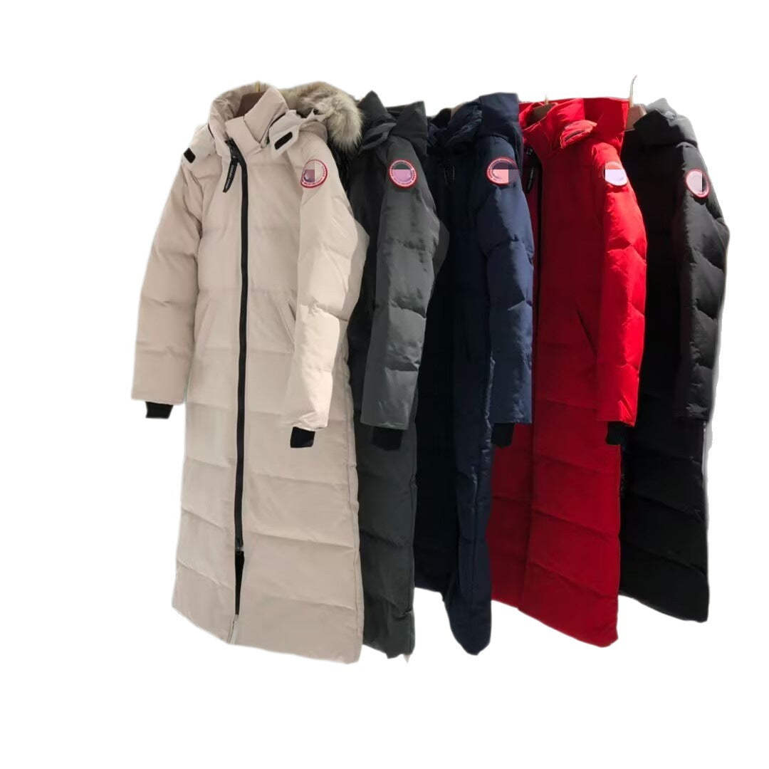 Row of five winter coats in different colors on a white background