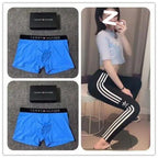 TOMMY Underwear (1)