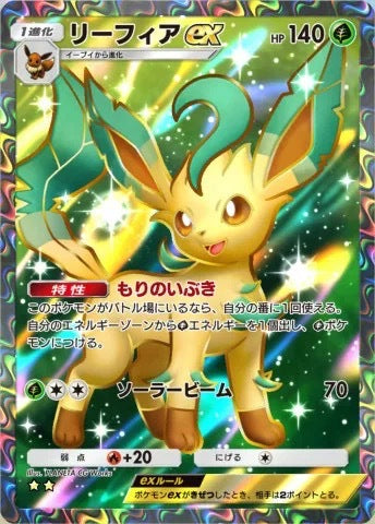POKEMON (3) 29