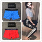 TOMMY Underwear (1)