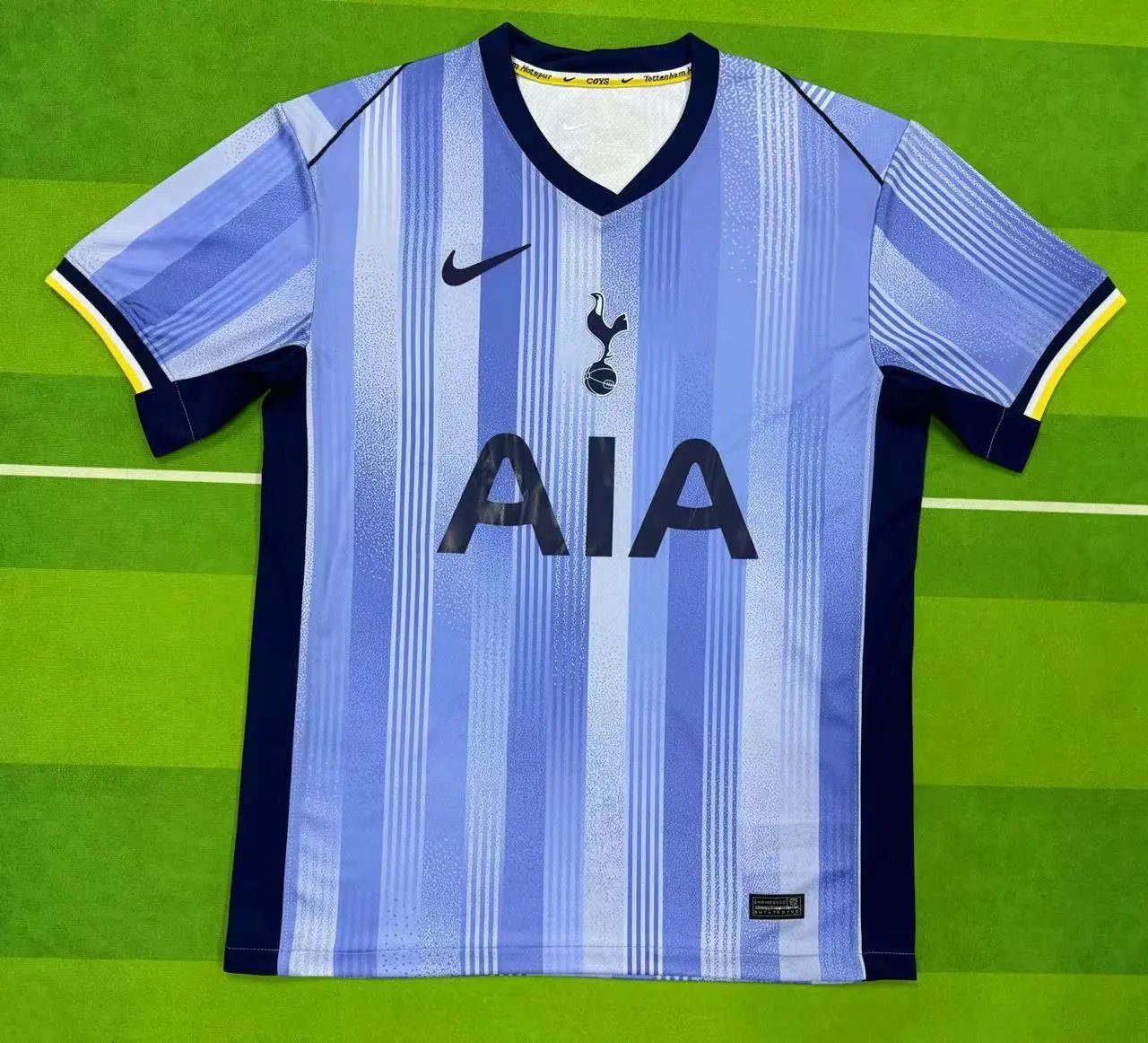 Blue and white striped soccer jersey with Nike logo on a green field background