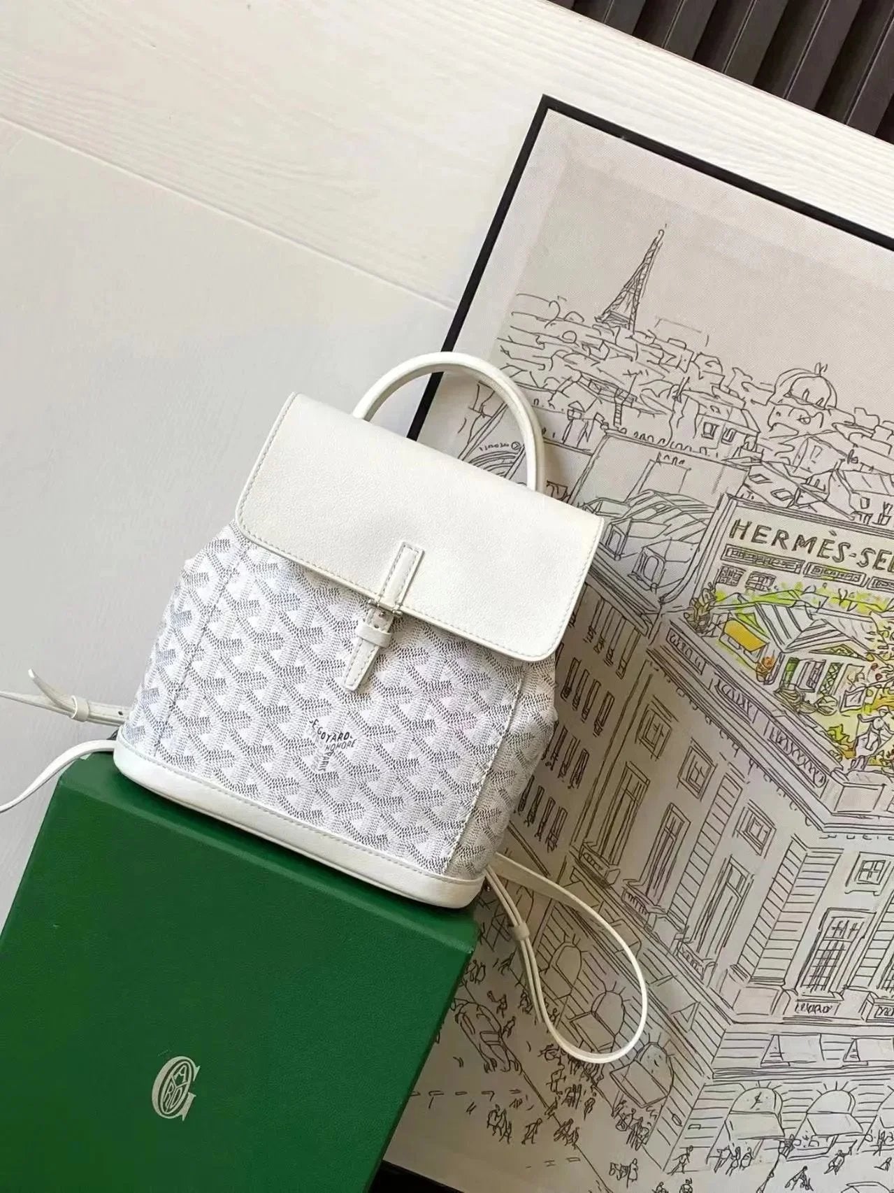 GOYRD BACKPACK (1) 9