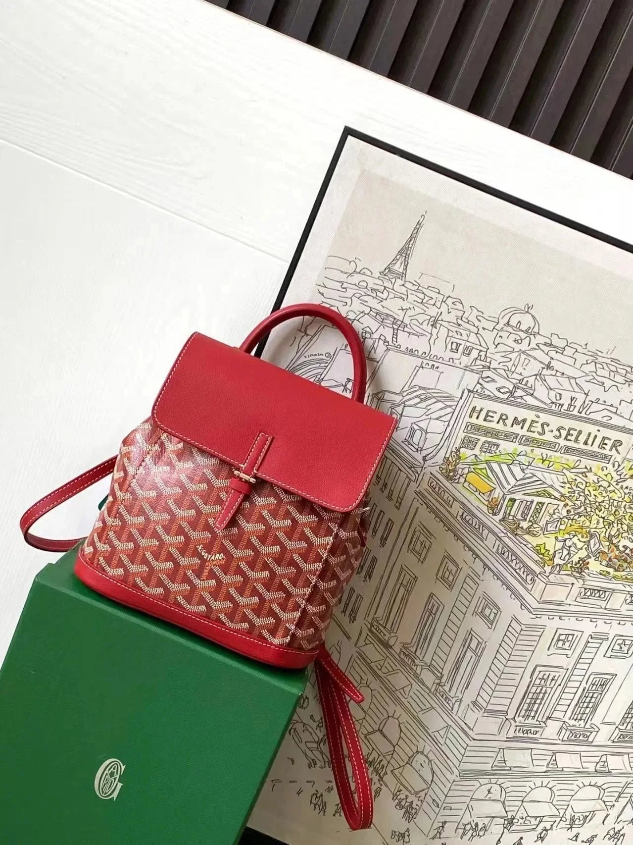 GOYRD BACKPACK (1) 32