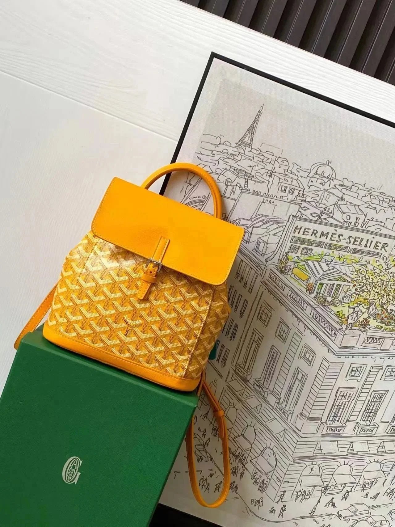 GOYRD BACKPACK (1) 30